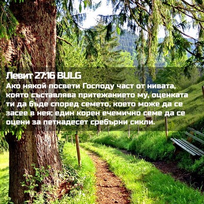 Picture 02 - Левит 27:16 BULG - Ако някой посвети Господу - Bible Verse Picture
