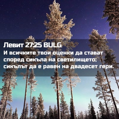 Picture 02 - Левит 27:25 BULG - И всичките твои оценки да - Bible Verse Picture