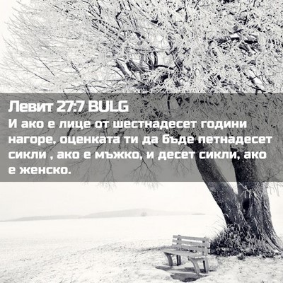 Picture 02 - Левит 27:7 BULG - И ако е лице от шестнадесет - Bible Verse Picture
