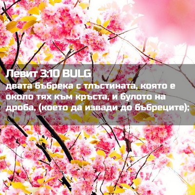 Picture 02 - Левит 3:10 BULG - двата бъбрека с - Bible Verse Picture