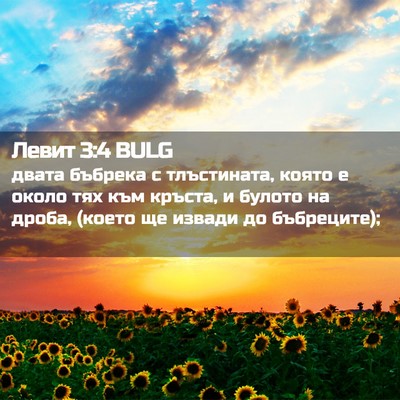Picture 02 - Левит 3:4 BULG - двата бъбрека с - Bible Verse Picture