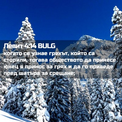 Picture 02 - Левит 4:14 BULG - когато се узнае грехът, - Bible Verse Picture