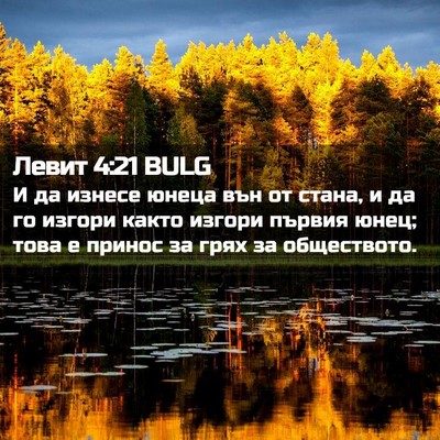 Picture 02 - Левит 4:21 BULG - И да изнесе юнеца вън от - Bible Verse Picture