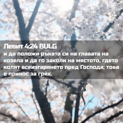 Picture 02 - Левит 4:24 BULG - и да положи ръката си на - Bible Verse Picture