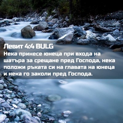 Picture 02 - Левит 4:4 BULG - Нека принесе юнеца при - Bible Verse Picture