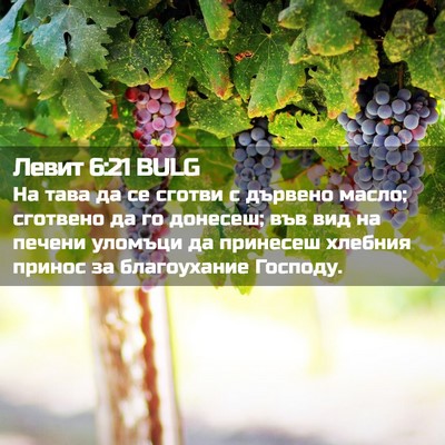 Picture 02 - Левит 6:21 BULG - На тава да се сготви с - Bible Verse Picture