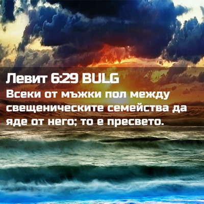 Picture 02 - Левит 6:29 BULG - Всеки от мъжки пол между - Bible Verse Picture