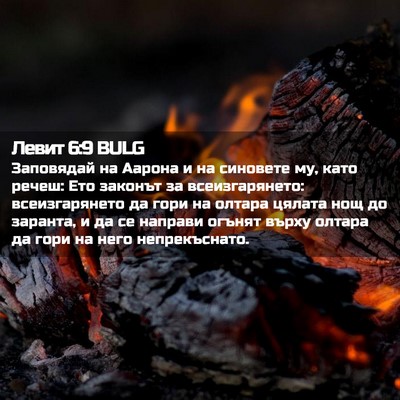 Picture 02 - Левит 6:9 BULG - Заповядай на Аарона и на - Bible Verse Picture
