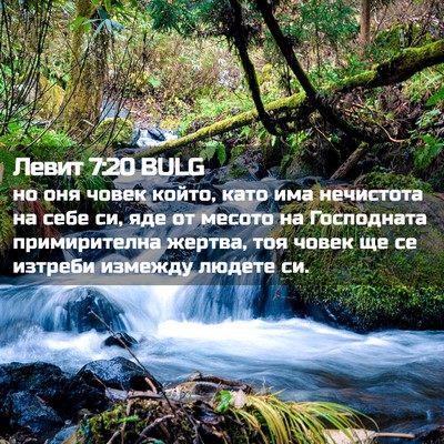 Picture 02 - Левит 7:20 BULG - но оня човек който, като - Bible Verse Picture