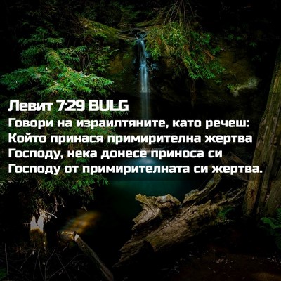 Picture 02 - Левит 7:29 BULG - Говори на израилтяните, - Bible Verse Picture