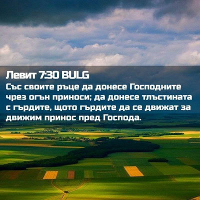 Picture 02 - Левит 7:30 BULG - Със своите ръце да донесе - Bible Verse Picture