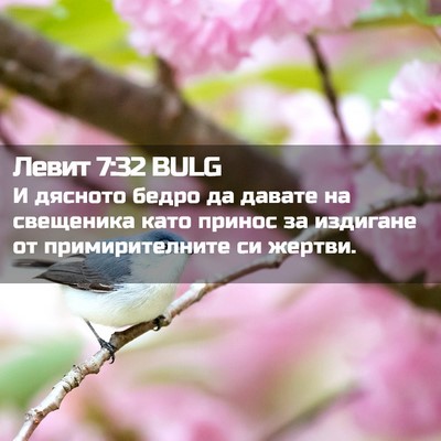 Picture 02 - Левит 7:32 BULG - И дясното бедро да давате - Bible Verse Picture