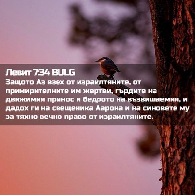 Picture 02 - Левит 7:34 BULG - Защото Аз взех от - Bible Verse Picture