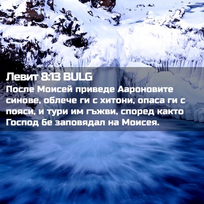 Picture 02 - Левит 8:13 BULG - После Моисей приведе - Bible Verse Picture