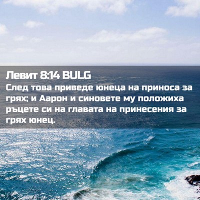 Picture 02 - Левит 8:14 BULG - След това приведе юнеца на - Bible Verse Picture