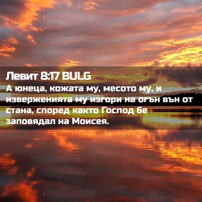 Picture 02 - Левит 8:17 BULG - А юнеца, кожата му, месото - Bible Verse Picture