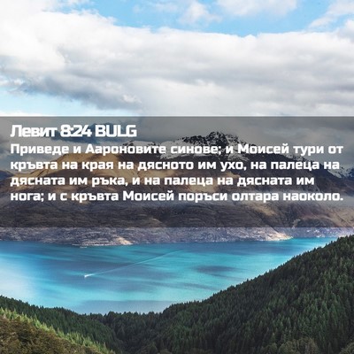 Picture 02 - Левит 8:24 BULG - Приведе и Аароновите - Bible Verse Picture