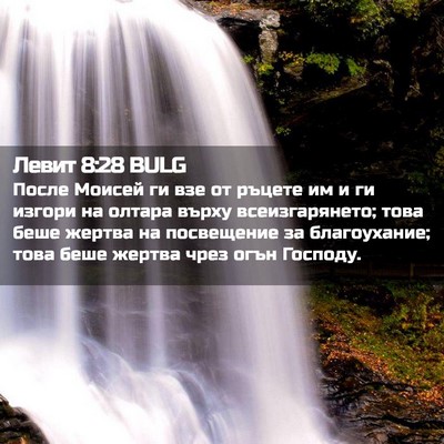 Picture 02 - Левит 8:28 BULG - После Моисей ги взе от - Bible Verse Picture