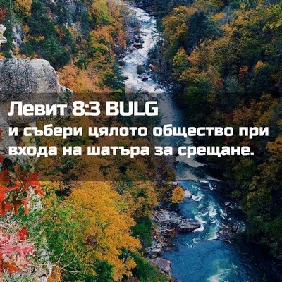 Picture 02 - Левит 8:3 BULG - и събери цялото общество - Bible Verse Picture