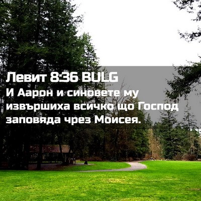Picture 02 - Левит 8:36 BULG - И Аарон и синовете му - Bible Verse Picture