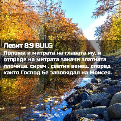 Picture 02 - Левит 8:9 BULG - Положи и митрата на - Bible Verse Picture