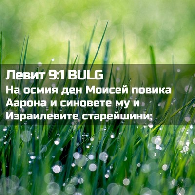 Picture 02 - Левит 9:1 BULG - На осмия ден Моисей повика - Bible Verse Picture