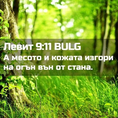 Picture 02 - Левит 9:11 BULG - А месото и кожата изгори на - Bible Verse Picture