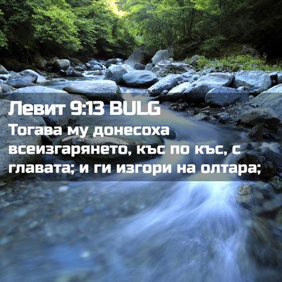 Picture 02 - Левит 9:13 BULG - Тогава му донесоха - Bible Verse Picture