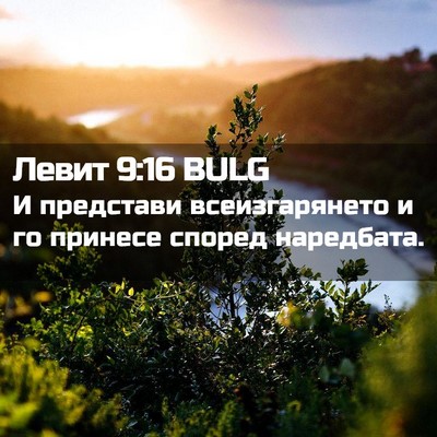 Picture 02 - Левит 9:16 BULG - И представи всеизгарянето - Bible Verse Picture