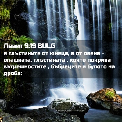 Picture 02 - Левит 9:19 BULG - и тлъстините от юнеца, а от - Bible Verse Picture