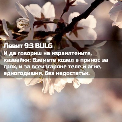 Picture 02 - Левит 9:3 BULG - И да говориш на - Bible Verse Picture