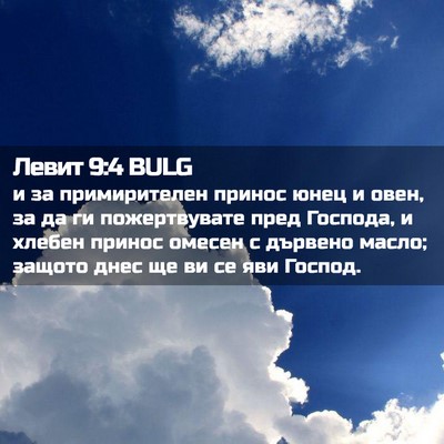 Picture 02 - Левит 9:4 BULG - и за примирителен принос - Bible Verse Picture
