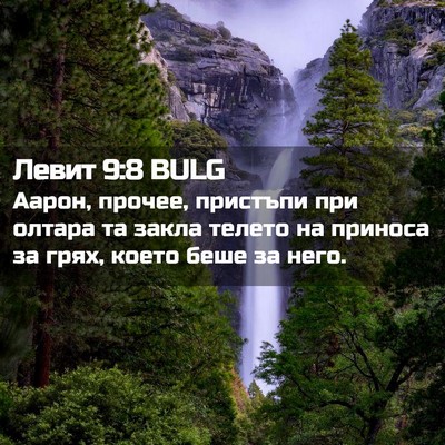 Picture 02 - Левит 9:8 BULG - Аарон, прочее, пристъпи при - Bible Verse Picture
