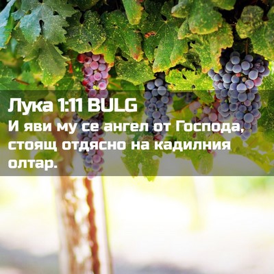 Picture 02 - Лука 1:11 BULG - И яви му се ангел от - Bible Verse Picture