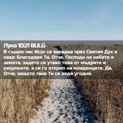 Picture 02 - Лука 10:21 BULG - В същия час Исус се зарадва - Bible Verse Picture