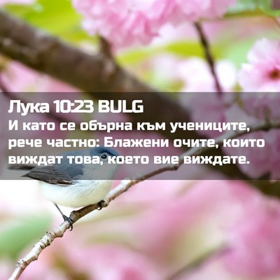 Picture 02 - Лука 10:23 BULG - И като се обърна към - Bible Verse Picture