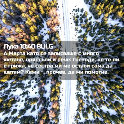 Picture 02 - Лука 10:40 BULG - А Марта като се залисваше с - Bible Verse Picture