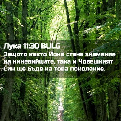 Picture 02 - Лука 11:30 BULG - Защото както Иона стана - Bible Verse Picture