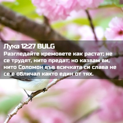 Picture 02 - Лука 12:27 BULG - Разгледайте кремовете как - Bible Verse Picture