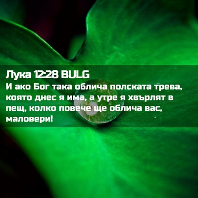 Picture 02 - Лука 12:28 BULG - И ако Бог така облича - Bible Verse Picture