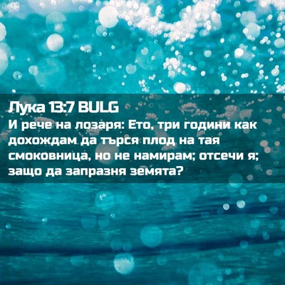 Picture 02 - Лука 13:7 BULG - И рече на лозаря: Ето, три - Bible Verse Picture