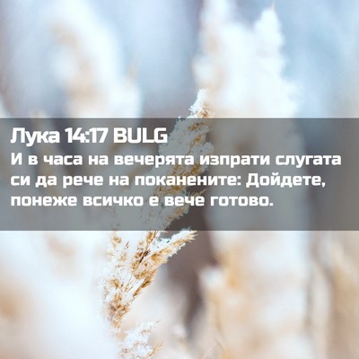 Picture 02 - Лука 14:17 BULG - И в часа на вечерята - Bible Verse Picture