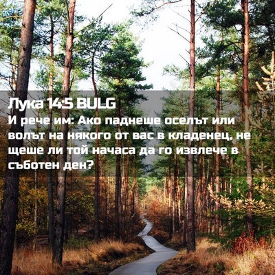 Picture 02 - Лука 14:5 BULG - И рече им: Ако паднеше - Bible Verse Picture