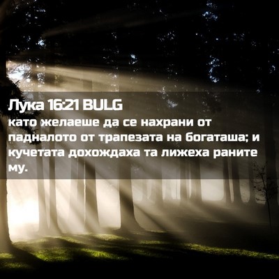 Picture 02 - Лука 16:21 BULG - като желаеше да се нахрани - Bible Verse Picture