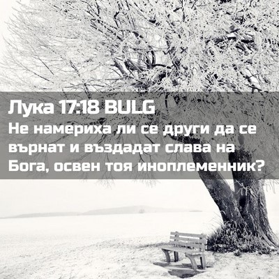 Picture 02 - Лука 17:18 BULG - Не намериха ли се други да - Bible Verse Picture