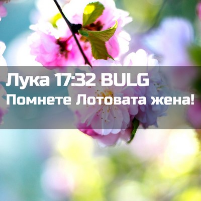 Picture 02 - Лука 17:32 BULG - Помнете Лотовата - Bible Verse Picture
