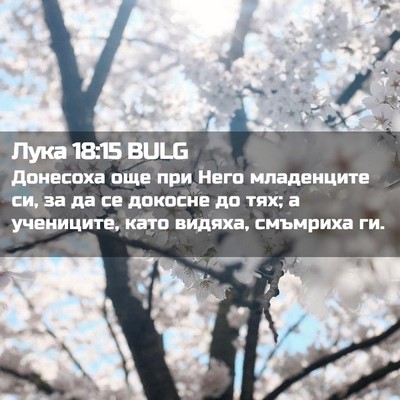 Picture 02 - Лука 18:15 BULG - Донесоха още при Него - Bible Verse Picture