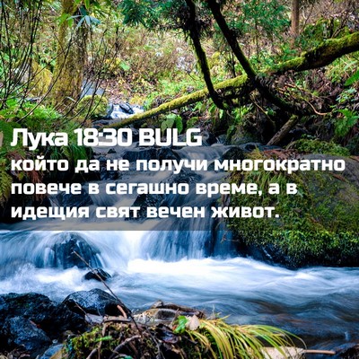 Picture 02 - Лука 18:30 BULG - който да не получи - Bible Verse Picture