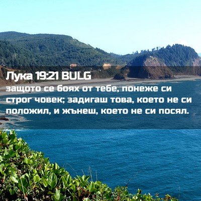 Picture 02 - Лука 19:21 BULG - защото се боях от тебе, - Bible Verse Picture