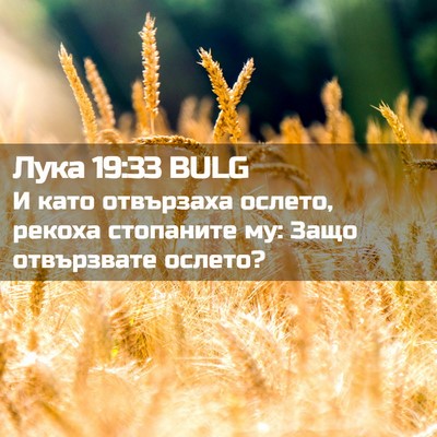 Picture 02 - Лука 19:33 BULG - И като отвързаха ослето, - Bible Verse Picture